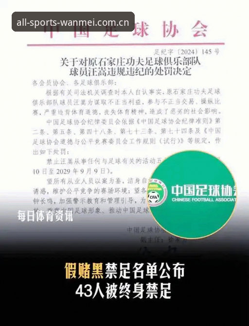 3项关键数据解读中国足协第三批禁足名单的行业影响